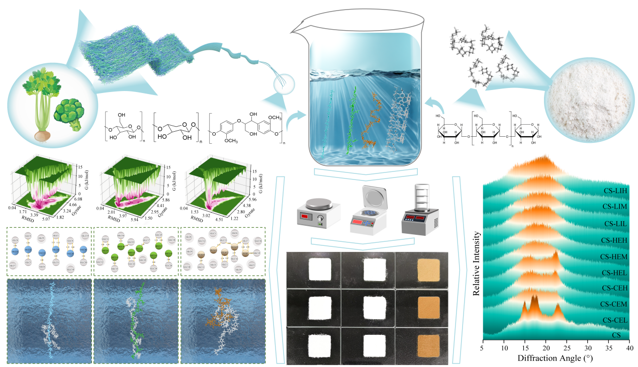 图1研究工作概述图 图1研究工作概述图